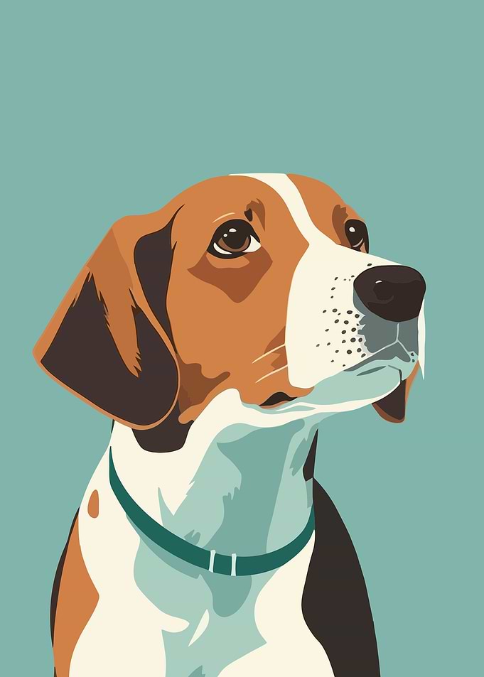 Portraits of dog