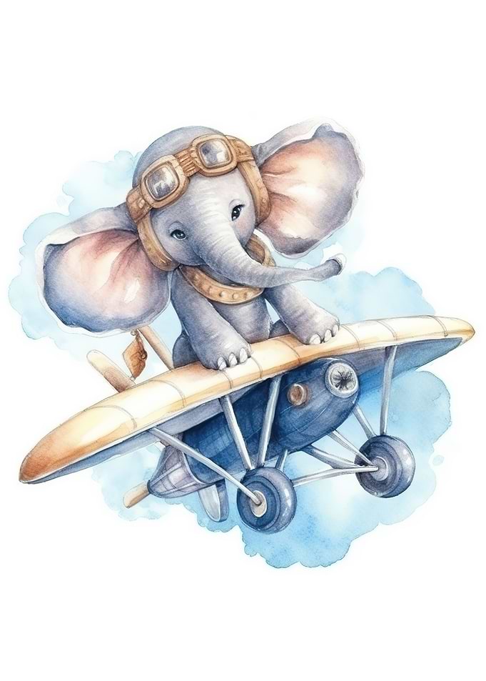 Elephant in plane