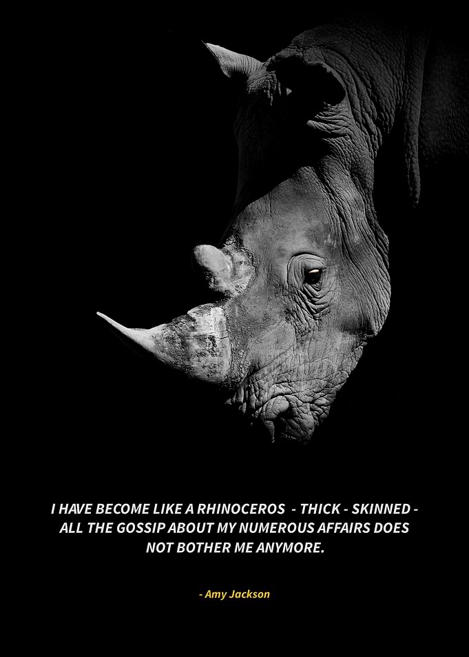 rhinoceros