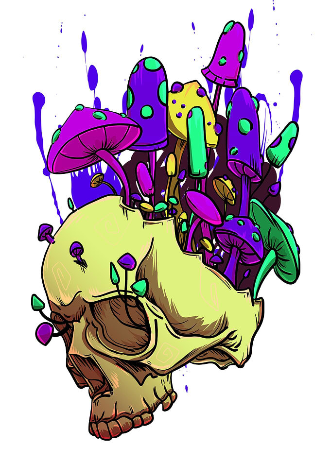 Trippy Mushroom Skull Vibe
