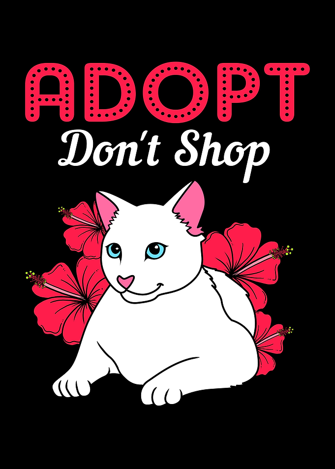 Adopt Dont Shop Cat