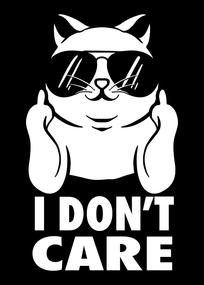 Cat Sunglasses