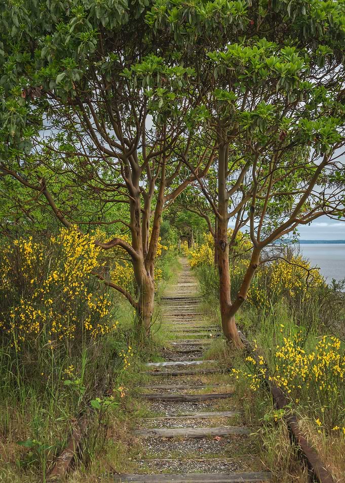 Reclaimed by Mother Nature