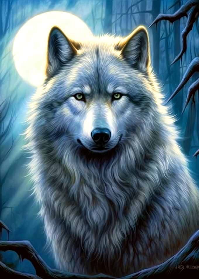Wolf