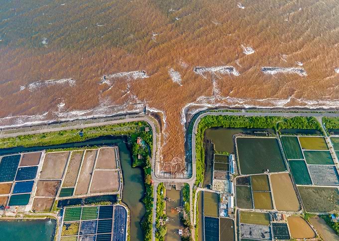 Shrimp farms in Vietnam
