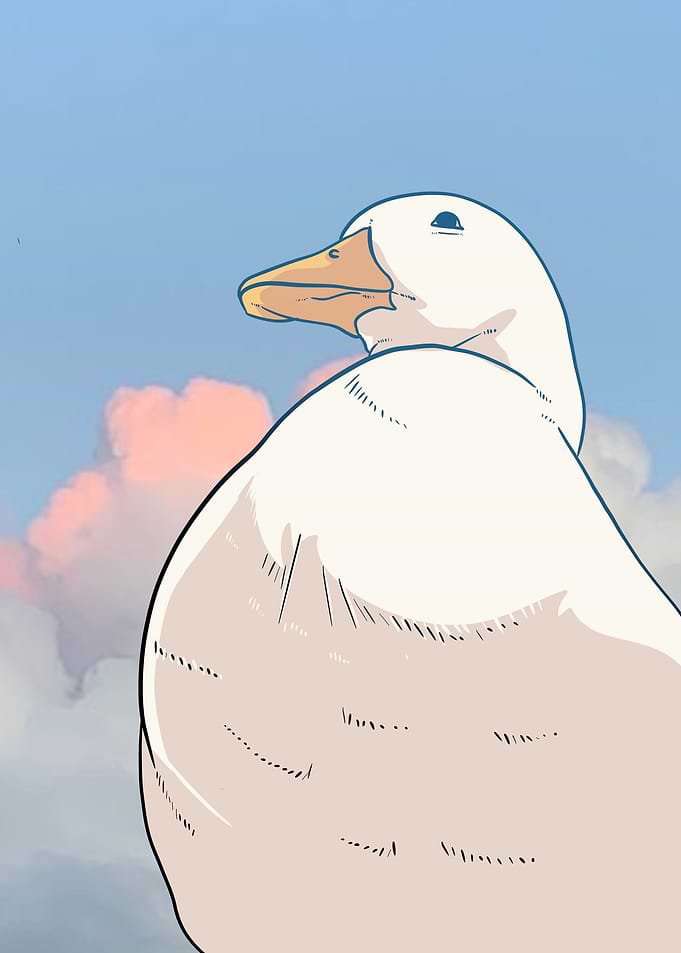 cute duck