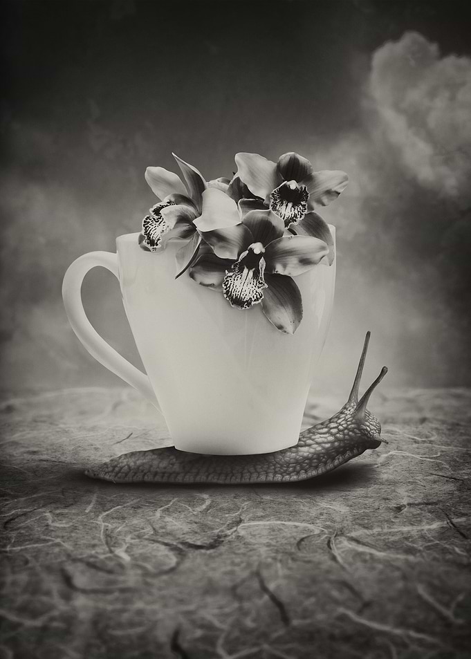 Time for Coffee Sepia