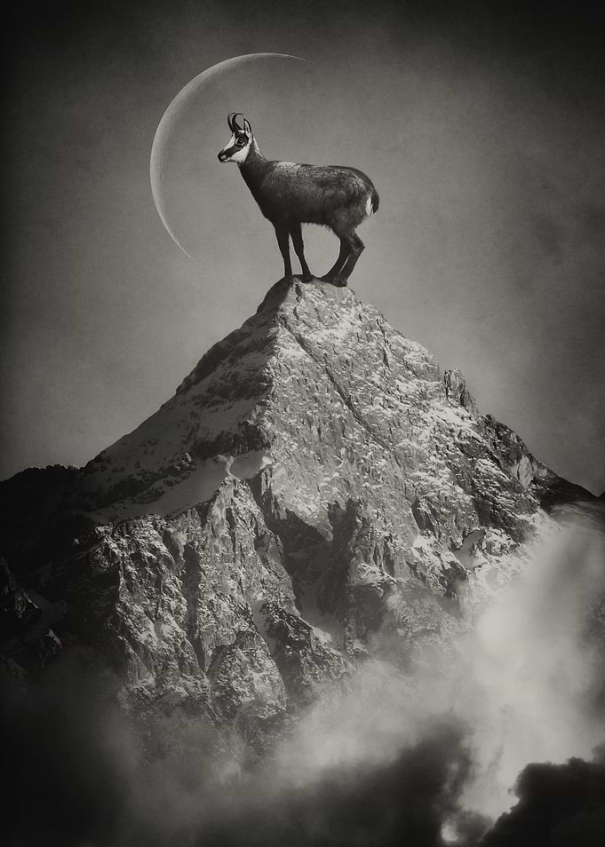 On Top of the World Sepia