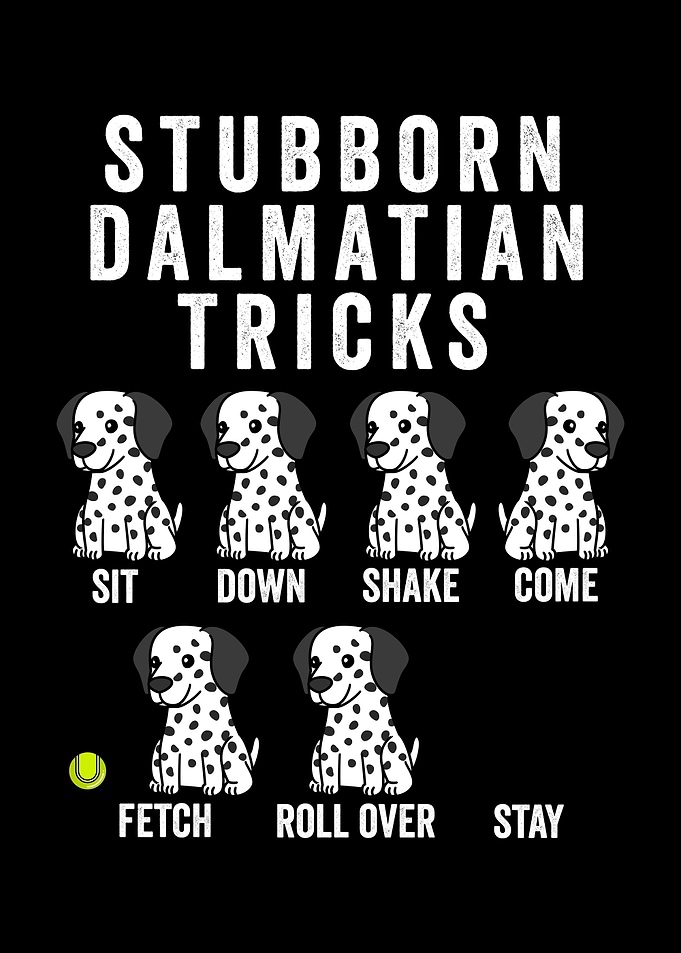 Stubborn Dalmatian Tricks