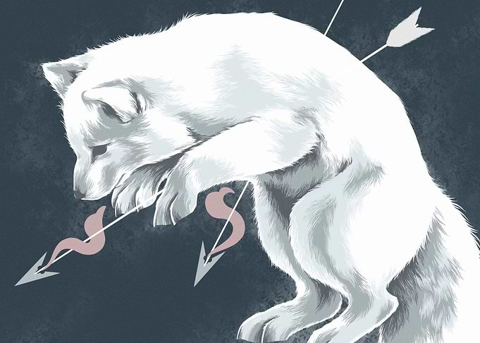 Arrow pierced arctic fox