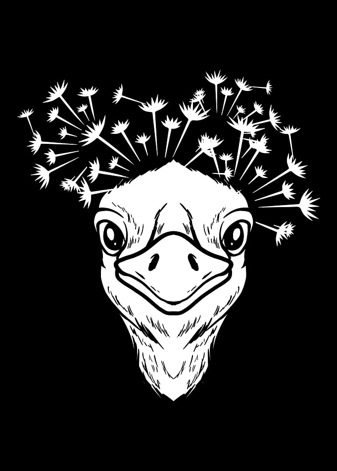 Ostrich Flightless Bird
