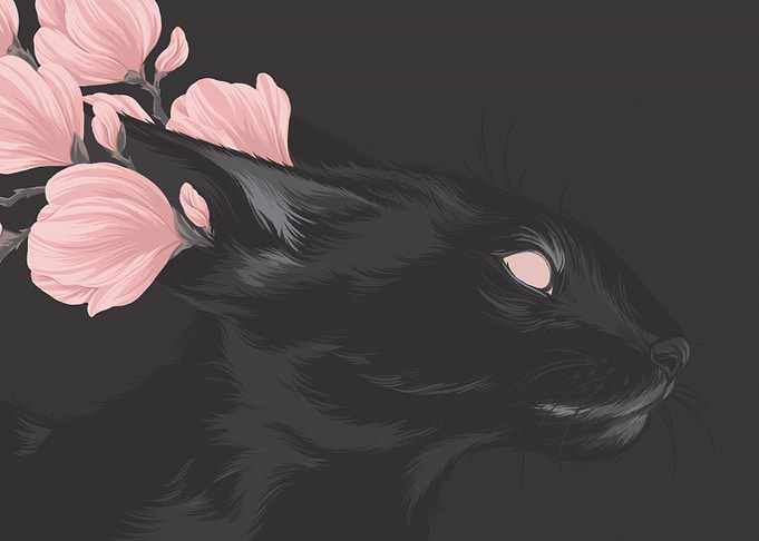 Black Oriental cat