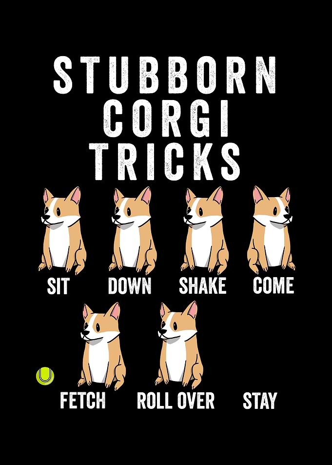 Stubborn Corgi Tricks