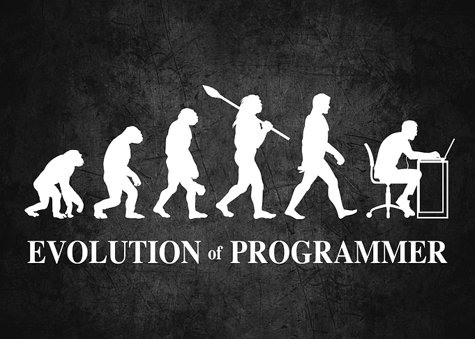 Evolution of Programmer