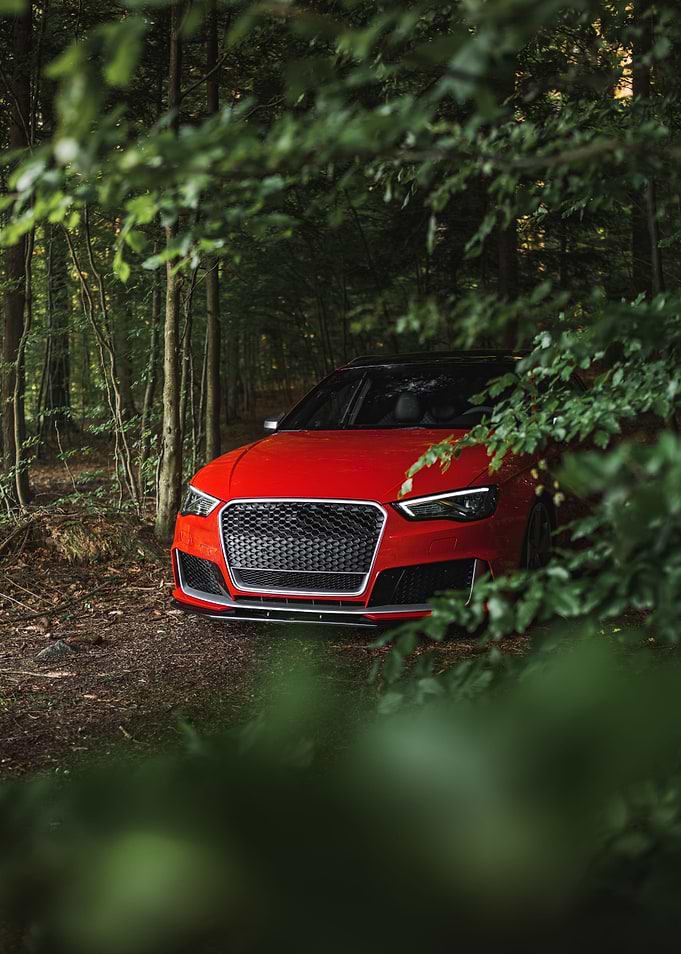 Audi RS 3 in the forest