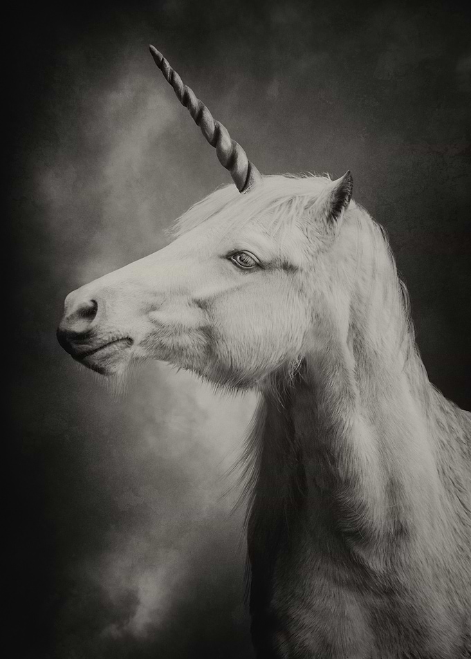 Unicorn Sepia