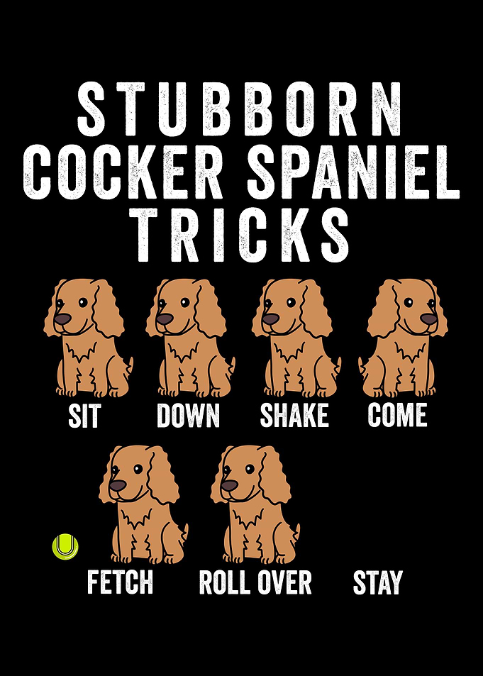 Cocker Spaniel Tricks