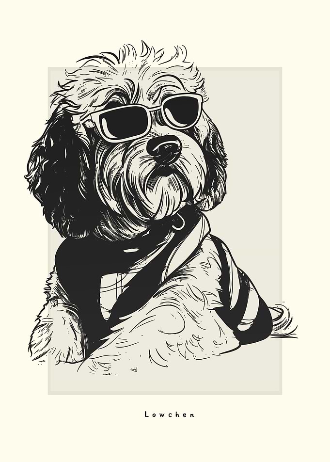 Lowchen Illustration