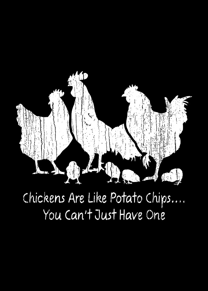 Chicken Are Like