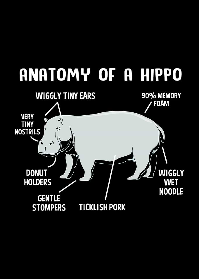 Anatomy Of Hippo