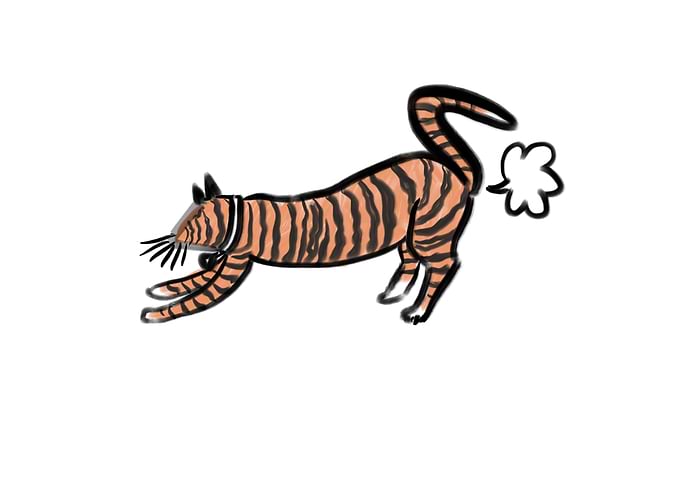 Farting cat