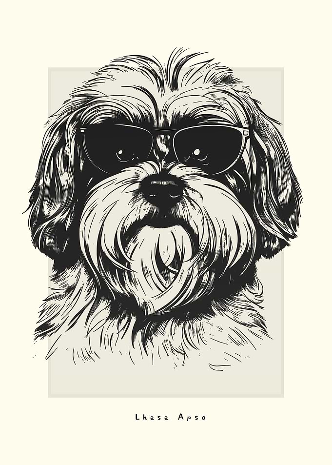 Lhasa Apso Illustration