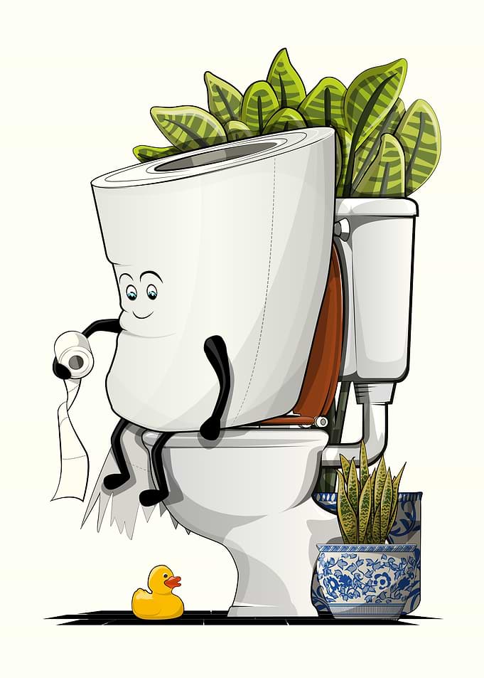 Toilet Paper on the Toilet