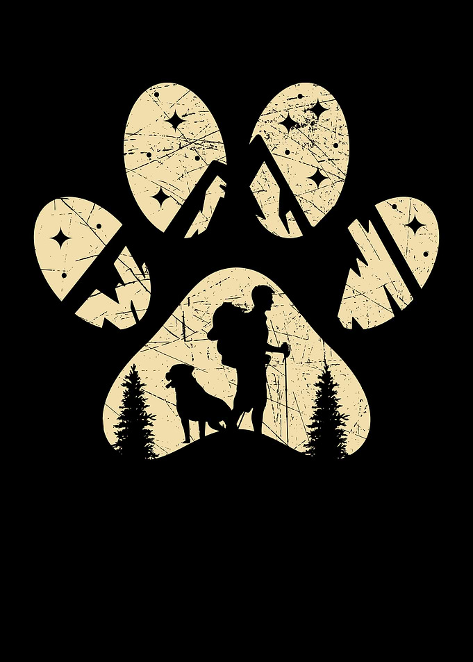 Hiking Dog Hiker Dog Owner