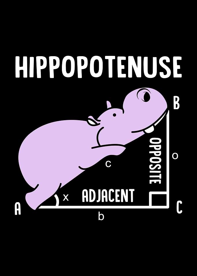 Hippopotenuse Hippo