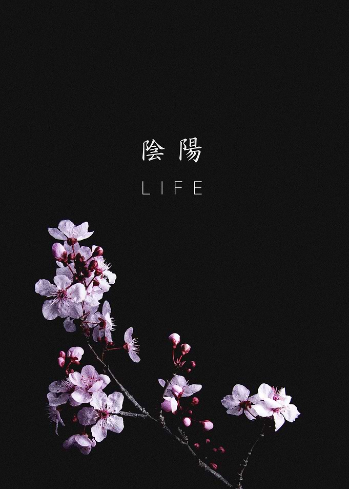 Sakura Flower