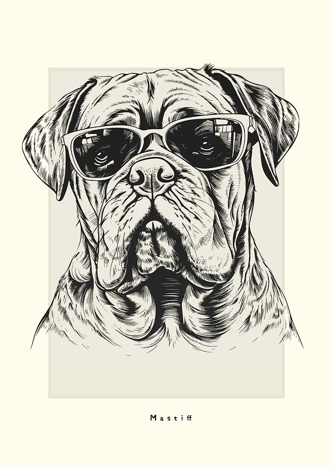 Mastiff Illustration