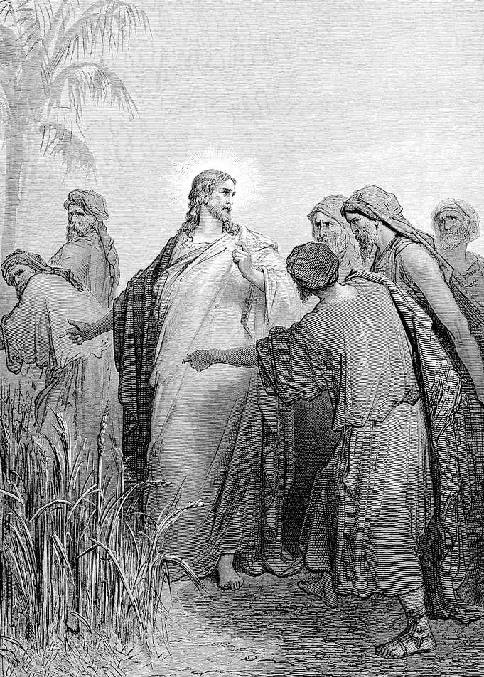 Disciples Plucking Corn