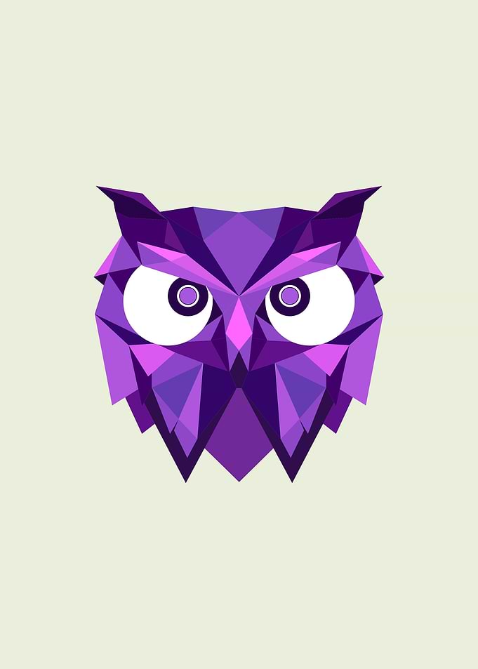 Metal Poster Owl Geometric