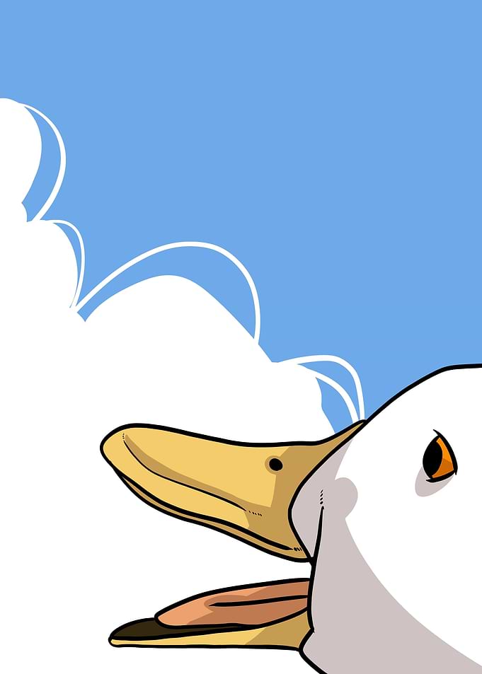 happy duck