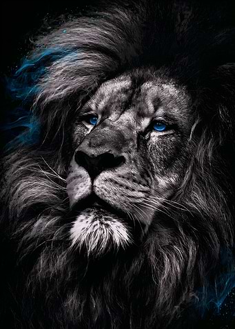 Lion Dark