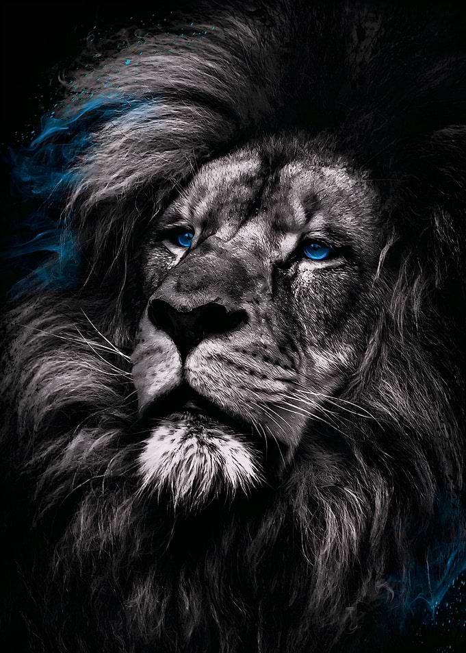 Lion Dark
