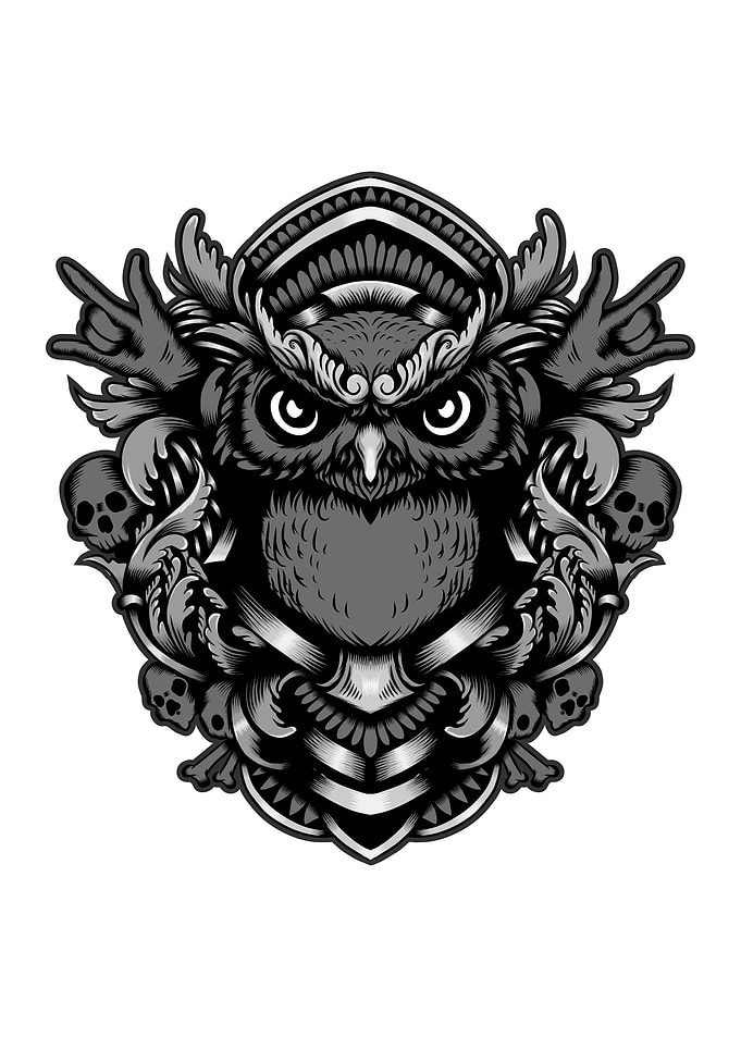 Owl Black and white
