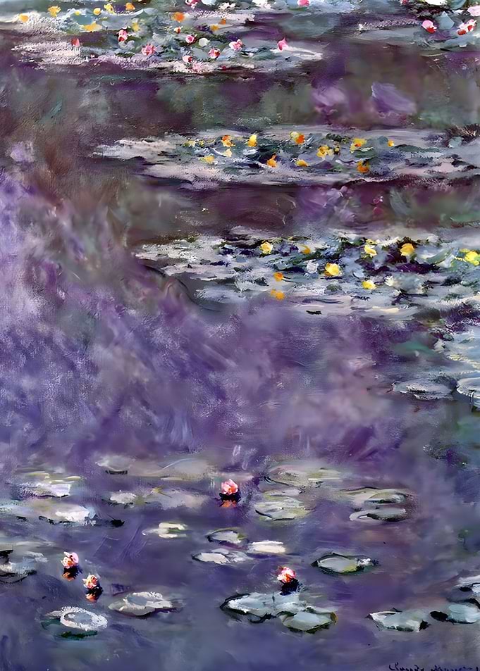 Purple Waterlily