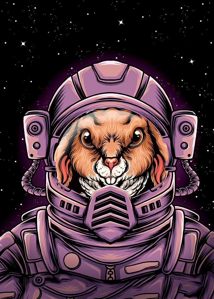Astronaut Rabbit