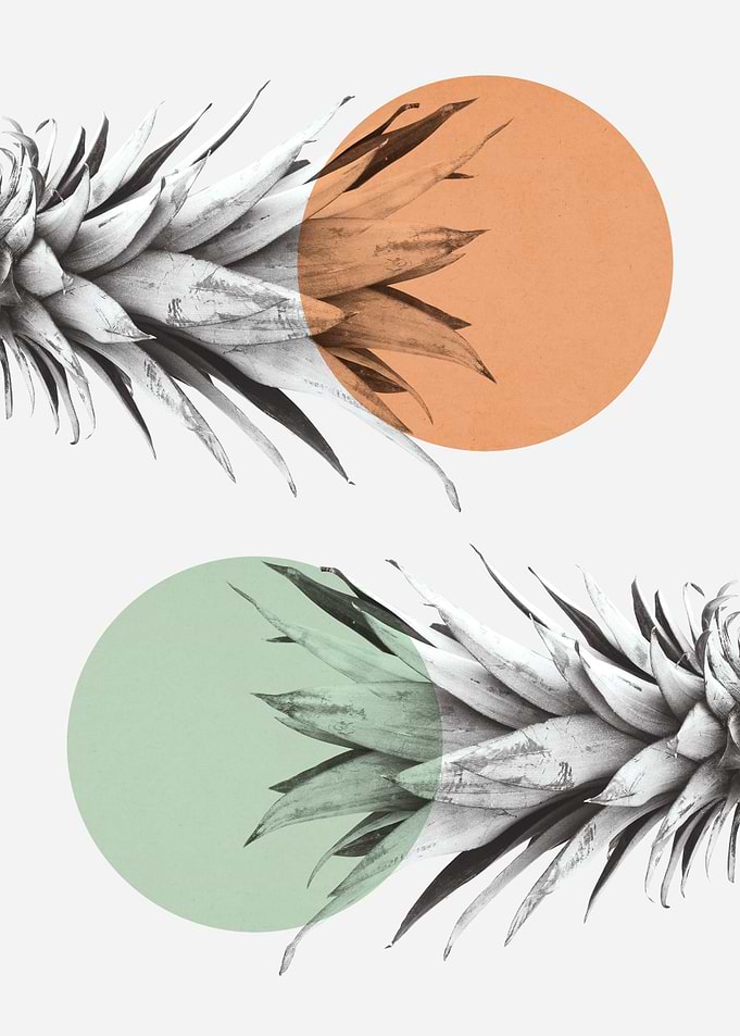 Pineapple art 1