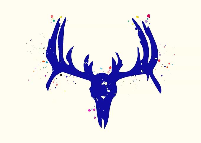 Deer Skull