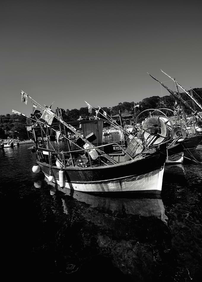 Moored Boat In Niel