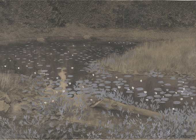 Tarn with Water Lilies