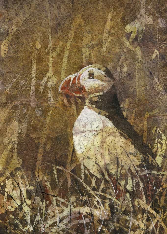 Puffin fine art watercolor