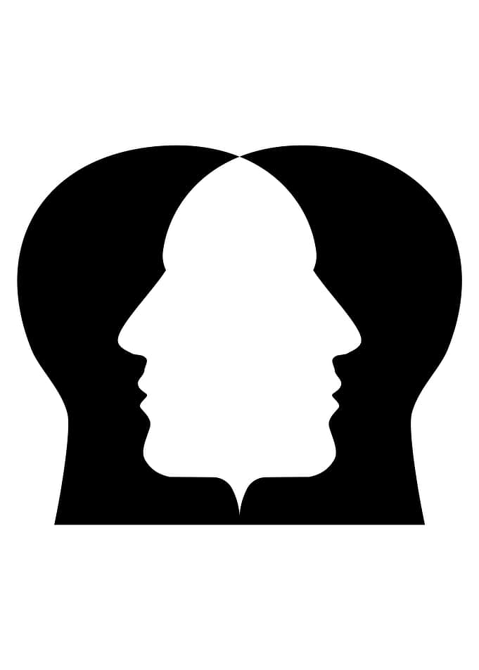 cranium