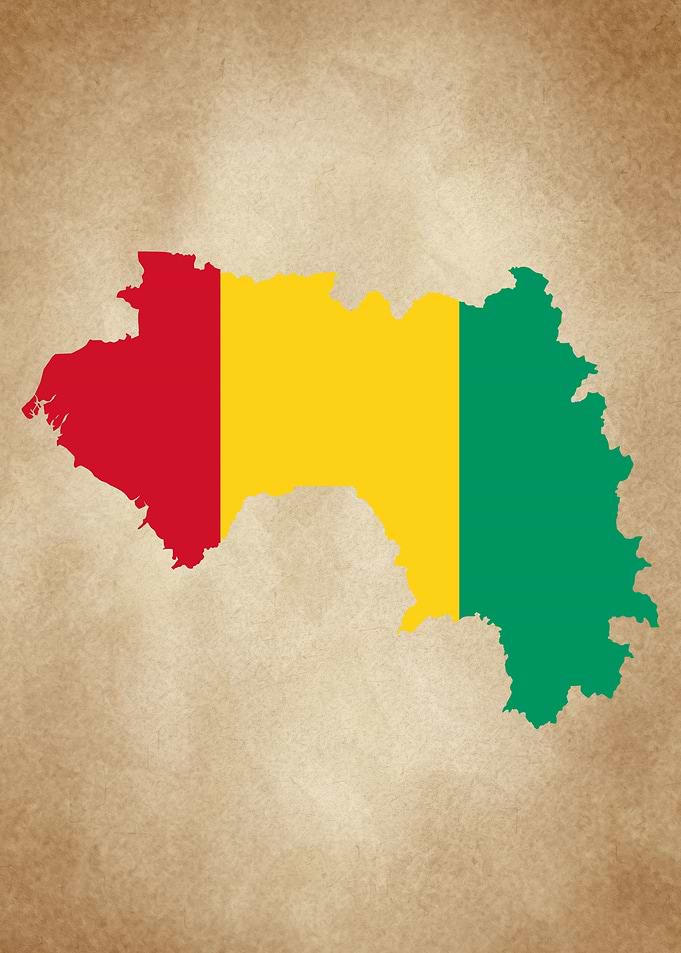Guinea map vintage