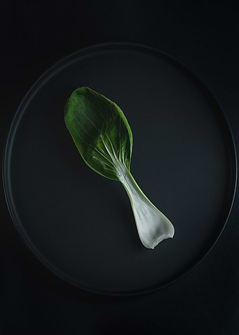 Pak choi leaf on black