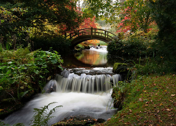 Japanese garden