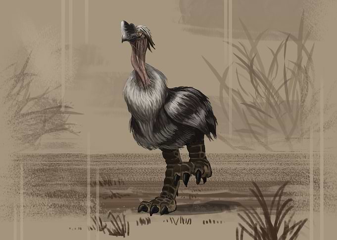 Elephant Bird