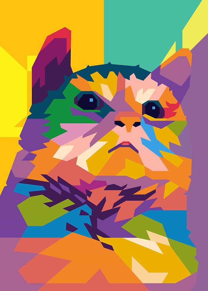 PATHETIC CAT MEME
